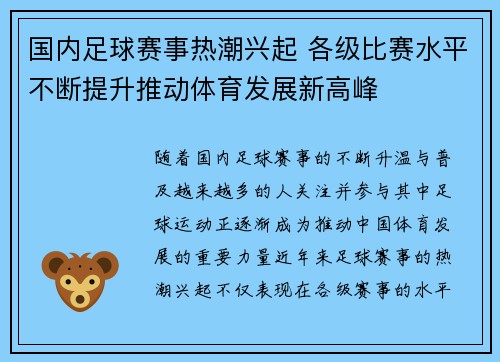 国内足球赛事热潮兴起 各级比赛水平不断提升推动体育发展新高峰